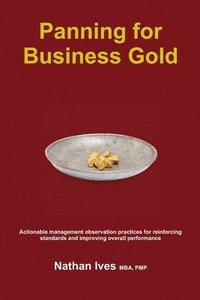 bokomslag Panning for Business Gold