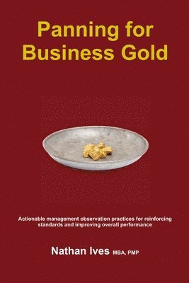 Panning for Business Gold 1
