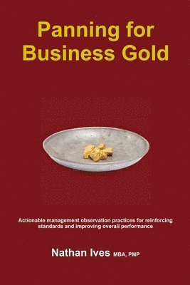 Nathan Ives - Panning for Business Gold, Häftad