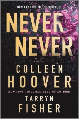 Never Never: A Romantic Suspense Novel of Love and Fate 1