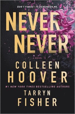 Never Never: A Romantic Suspense Novel of Love and Fate 1