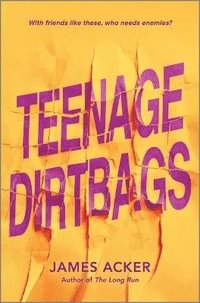 bokomslag Teenage Dirtbags