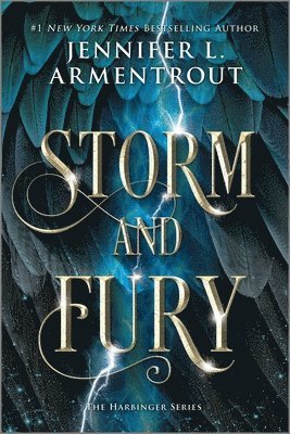 bokomslag Storm and Fury