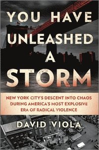 bokomslag You Have Unleashed a Storm: New York City's Descent Into Chaos During America's Most Explosive Era of Radical Violence