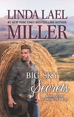 bokomslag Big Sky Secrets