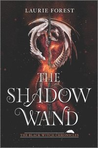 bokomslag The Shadow Wand