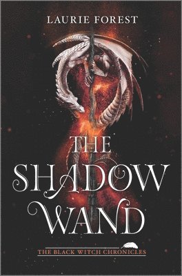bokomslag The Shadow Wand