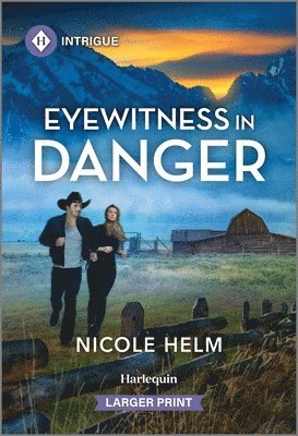 Nicole Helm - Eyewitness in Danger, Pocket