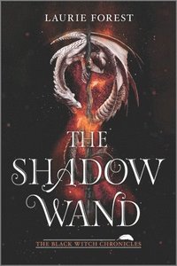 bokomslag The Shadow Wand