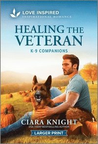 bokomslag Healing the Veteran