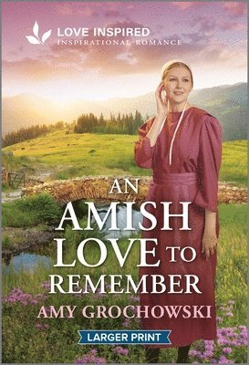 bokomslag An Amish Love to Remember