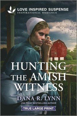 Dana R. Lynn, Dana R Lynn - Hunting the Amish Witness, Häftad