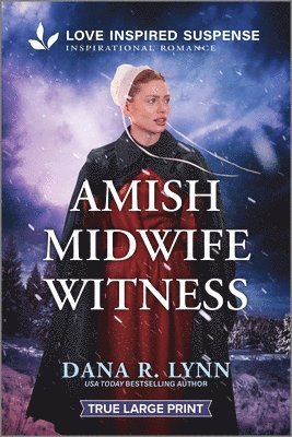 Dana R. Lynn, Dana R Lynn - Amish Midwife Witness, Häftad
