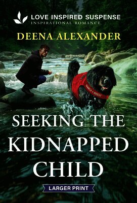 Seeking the Kidnapped Child