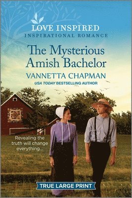 bokomslag Chapman, V: Mysterious Amish Bachelor