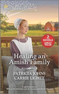 bokomslag Healing an Amish Family