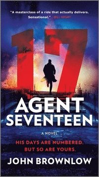 bokomslag Agent Seventeen