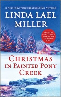 bokomslag Christmas in Painted Pony Creek