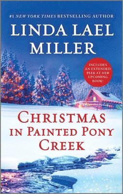 bokomslag Christmas in Painted Pony Creek