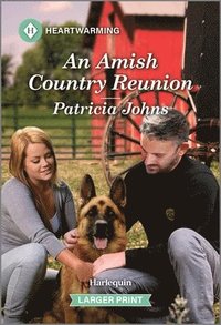 bokomslag An Amish Country Reunion: A Clean and Uplifting Romance