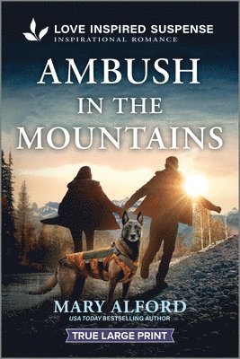 bokomslag Ambush in the Mountains