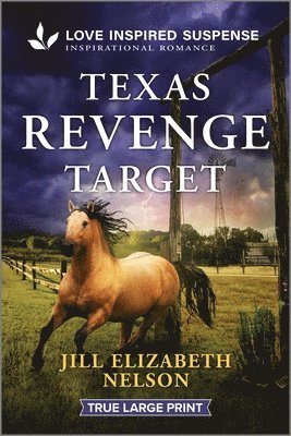 bokomslag Texas Revenge Target