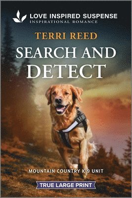 Search and Detect 1