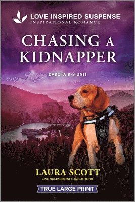 Chasing a Kidnapper 1