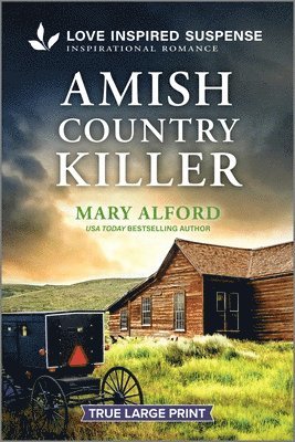 bokomslag Amish Country Killer