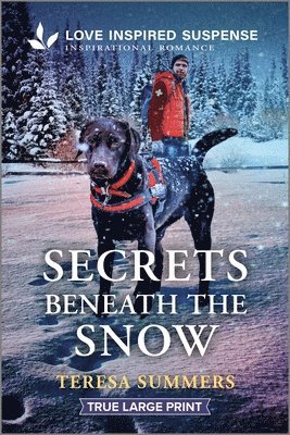 Teresa Summers - Secrets Beneath the Snow, Häftad