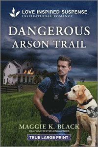 bokomslag Dangerous Arson Trail