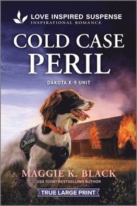 bokomslag Cold Case Peril