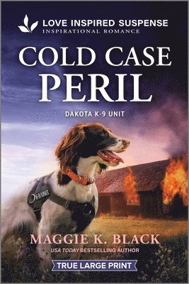 bokomslag Cold Case Peril