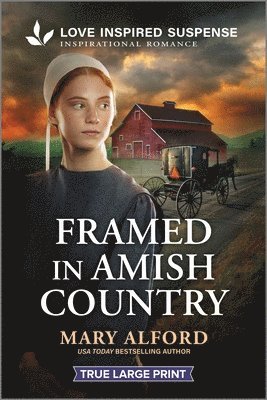 bokomslag Framed in Amish Country