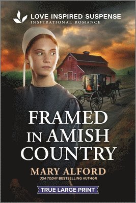 Mary Alford - Framed in Amish Country, Häftad