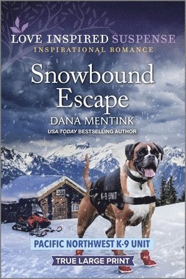 Snowbound Escape 1