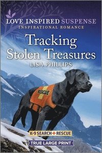 bokomslag Tracking Stolen Treasures