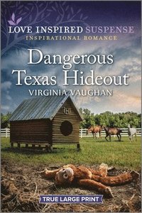 bokomslag Dangerous Texas Hideout