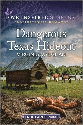 Dangerous Texas Hideout 1