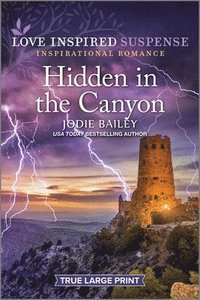 bokomslag Hidden in the Canyon