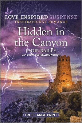bokomslag Hidden in the Canyon