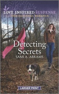 bokomslag Detecting Secrets