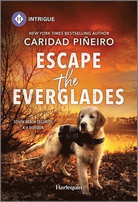 Escape the Everglades 1