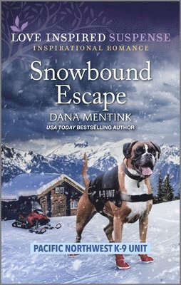 Snowbound Escape 1