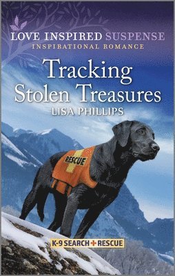 Tracking Stolen Treasures 1