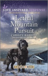 bokomslag Lethal Mountain Pursuit