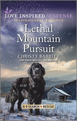 Lethal Mountain Pursuit 1
