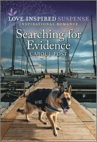 bokomslag Searching for Evidence