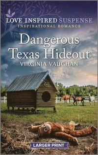 bokomslag Dangerous Texas Hideout