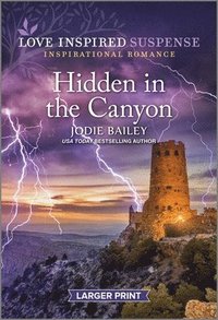 bokomslag Hidden in the Canyon